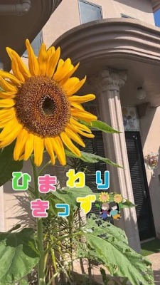 浦添市の放課後等デイサービスひまわりきっず